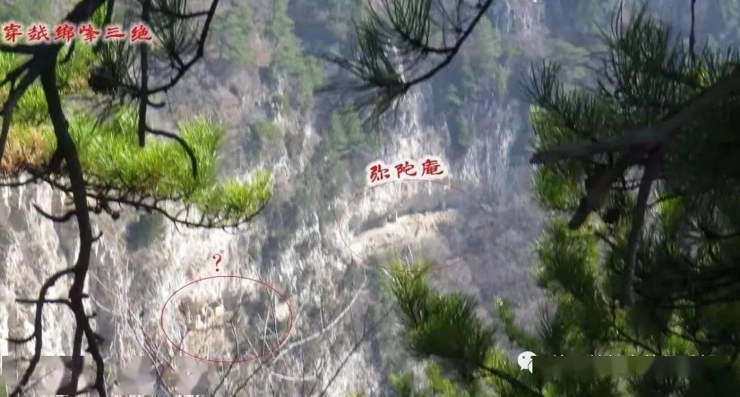 空闲农场